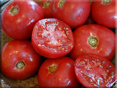 rose de berne tomato seeds Rose de Berne Tomato from heritage Harvest Seed – Heritage Harvest Seed