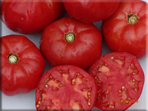 Brandywine Pink Beefsteak Tomato