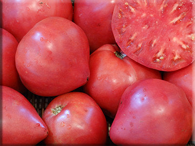 Oxheart Tomato from Heritage Harvest Seed