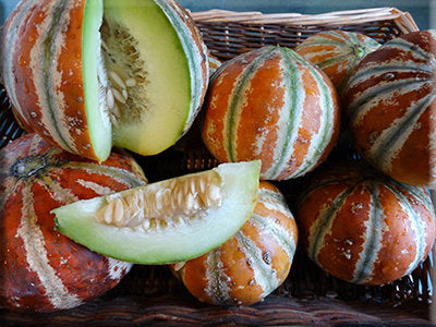 Kajari Melon Heritage Harvest Seed