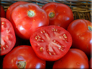 Tribes Tobique Tomato