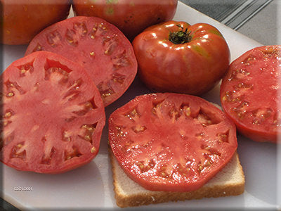 Kukla's Portuguese Beefsteak Tomato