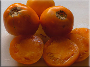 Woodle Orange - Tomato Seeds