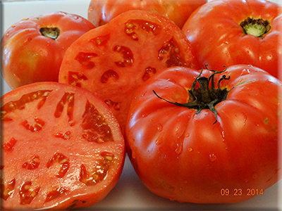 Plourde Tomato