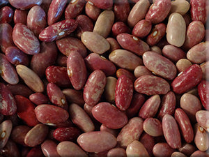 Red Valentine Bean (pre-1817)