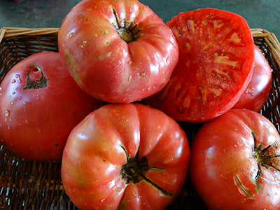 Weisnicht's Ukrainian Tomato
