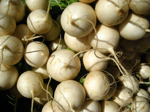 White Egg - Heirloom Turnip Seed (1800’s)