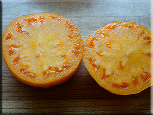Orange Minsk Tomato