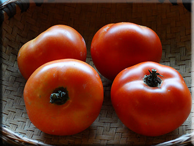 Sophie's Choice Tomato
